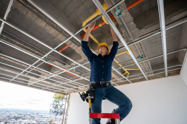 Best Clogged Drain Plumber  in Knob Noster, MO